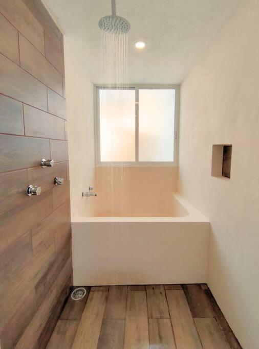 Apartamento Casa Colibri Con Alberca En El Centro Mérida Exterior foto